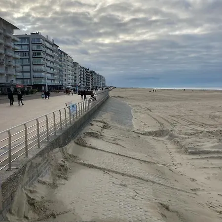 Strandstudio In Hartje