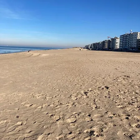 Strandstudio In Hartje Apartman *