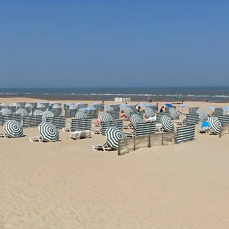 Apartamento Strandstudio In Hartje