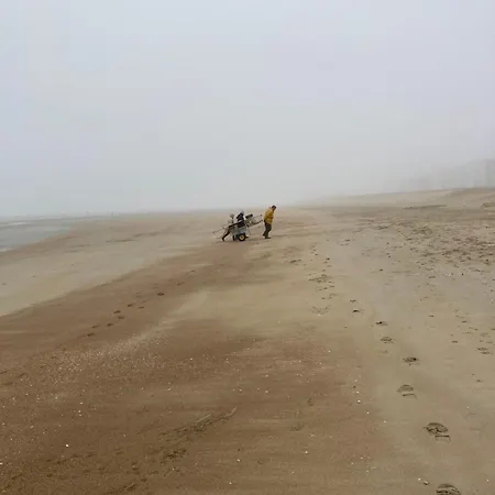 アパート Strandstudio In Hartje *