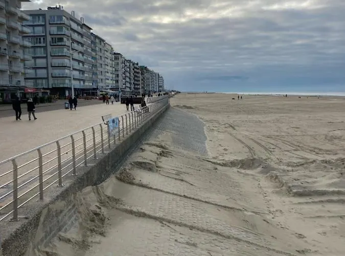 Strandstudio In Hartje