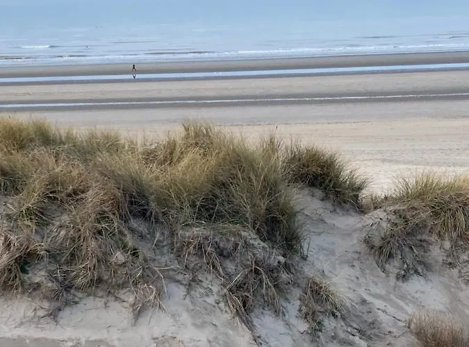 Strandstudio In Hartje *