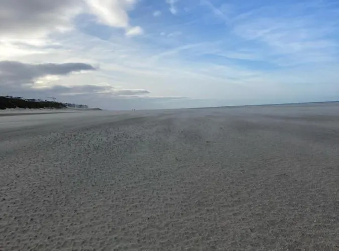 Strandstudio In Hartje Apartment