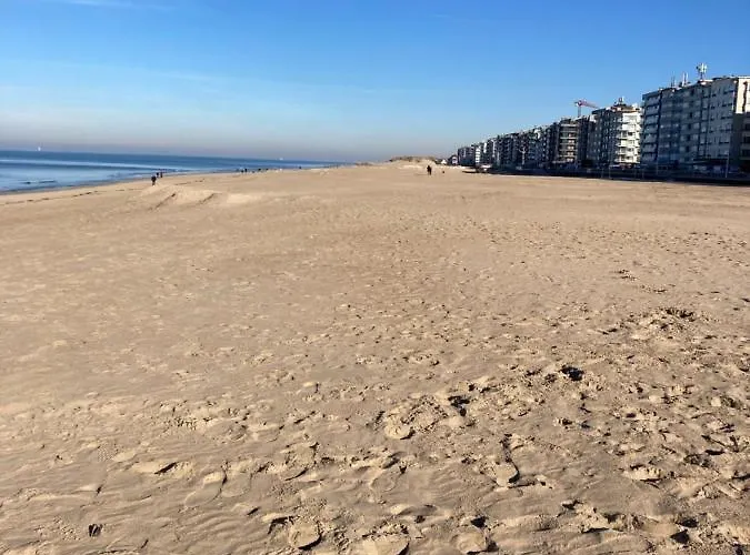 Strandstudio In Hartje Apartment *