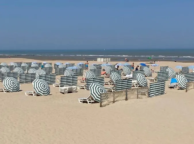 Apartment Strandstudio In Hartje