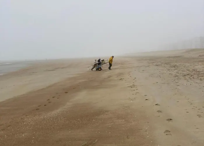 Apartment Strandstudio In Hartje *